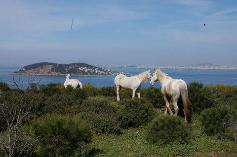 Bahar geldi şimdi şehirden kaçma zamanı! - Resim: 4