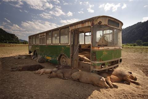 Bu fotoğraflar birer şaheser - Resim: 4