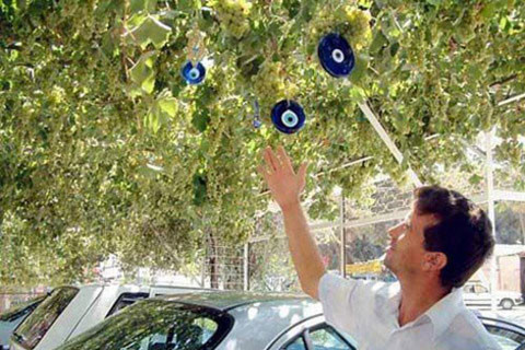 Yurdum insanı yine iş başında - Resim: 4