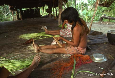 İlk kez görüntülendiler! Maymunlarla çocukları ayırmıyorlar - Resim: 4