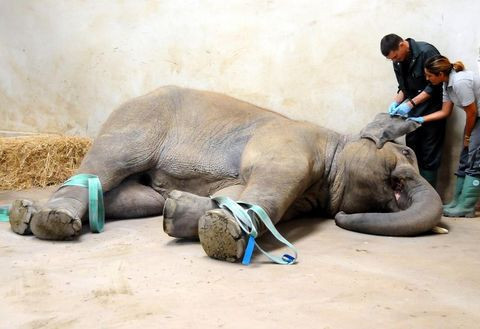 Türkiye'de bir ilk yaşandı! - Resim: 3