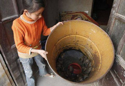 Fareleri afiyetle yiyorlar - Resim: 3