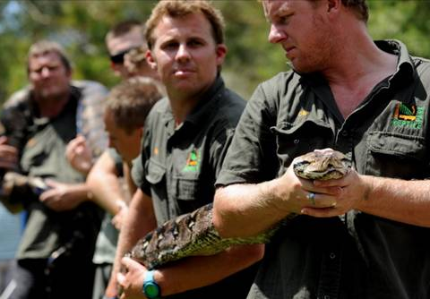 Dev pitonun midesini gördünüz mü? - Resim: 2