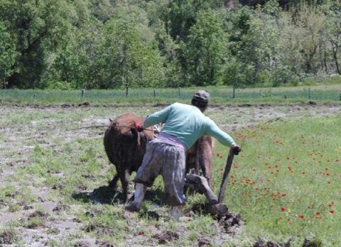 Terörün ardından Hakkari - Resim: 1