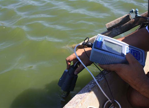 Azap gölünde canlılar ölüyor - Resim: 4