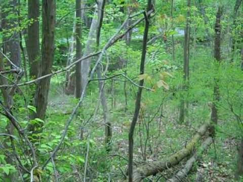 Çocukları kaçırıp taciz edip yiyordu! Tarihin en korkunç... - Resim: 4