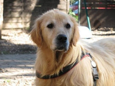 Barınaktan kan donduran görüntüler - Resim: 3