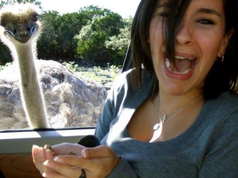 Günün tıklanma rekoru kıranları - Resim: 2