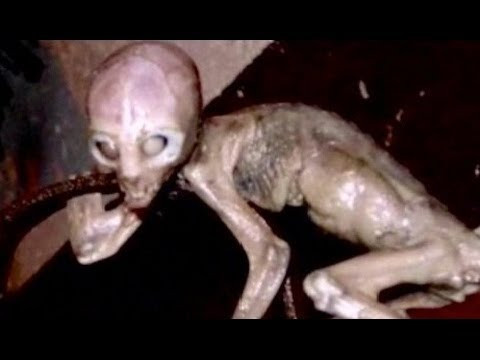 Kimse ne olduğunu bilmiyor bilim dünyası şokta! - Resim: 2