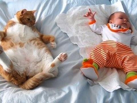 İnternetin en komik 100 karesi - Resim: 4