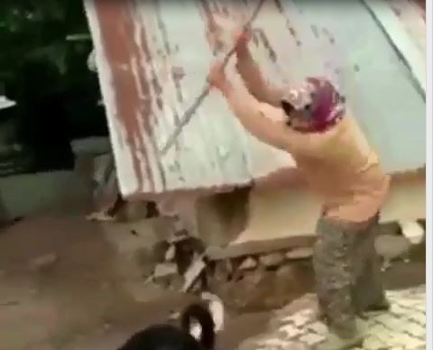 Çorum'da boğuşan köpekleri kürekle ayıran kadın hakkında şoruşturma açıldı! - Resim: 1