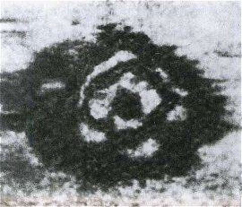 Bu olaylar açıklanamıyor - Resim: 1