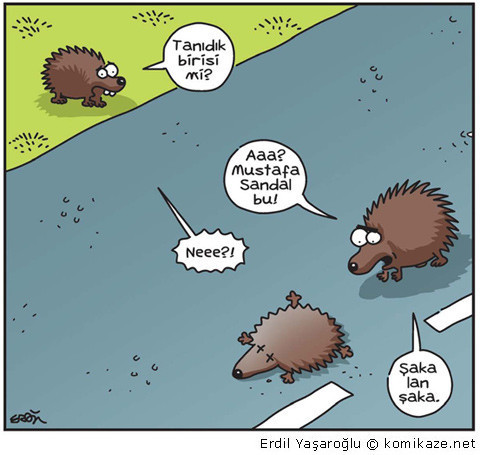 Biraz da kahkaha atmaya ne dersiniz? - Resim: 2