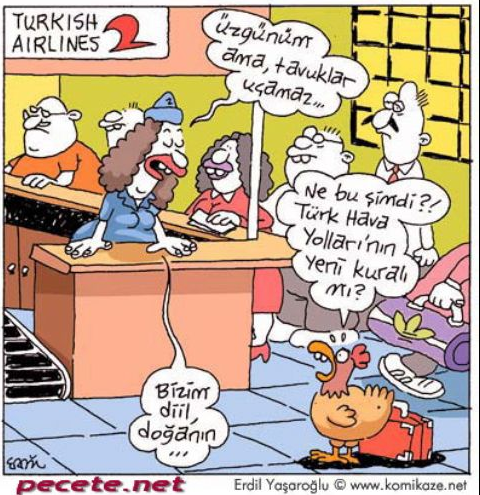 Günün en eğlenceli karikatürleri - Resim: 4