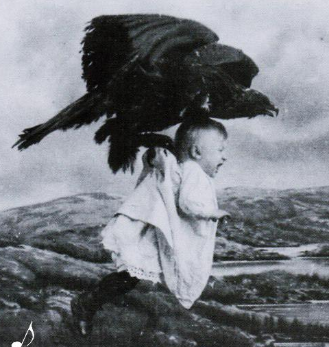 İşte kartalın bebeği kaçırdığı an - Resim: 2