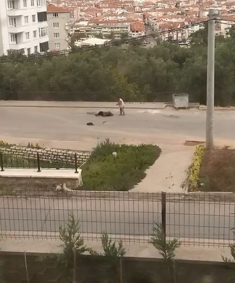 Bursa'da eşini sokakta vurup ağır yaraladı silah tutukluk yapınca kaçtı o anlar kamerada - Resim: 3