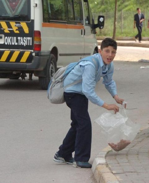 Fıstık yüklü TIR dört parçaya bölündü! - Resim: 2