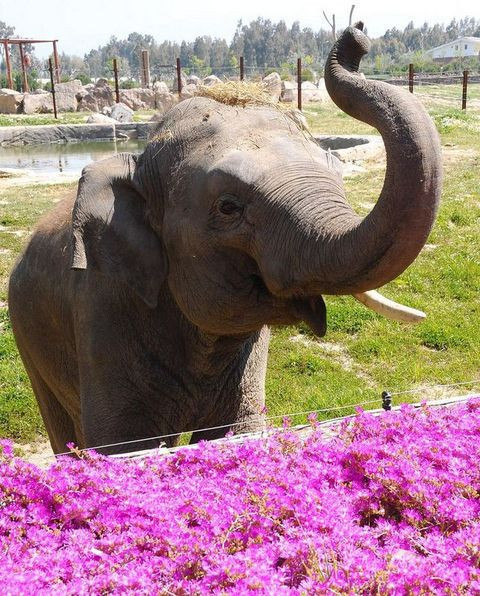 Türkiye'de bir ilk yaşandı! - Resim: 1