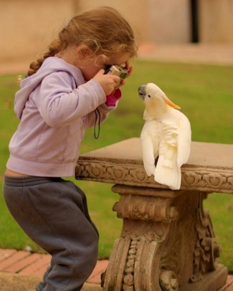 Günün tıklanma rekoru kıranları - Resim: 4