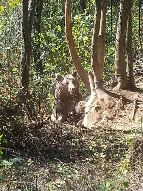Aç kalınca köye indi başına gelmeyen kalmadı - Resim: 3