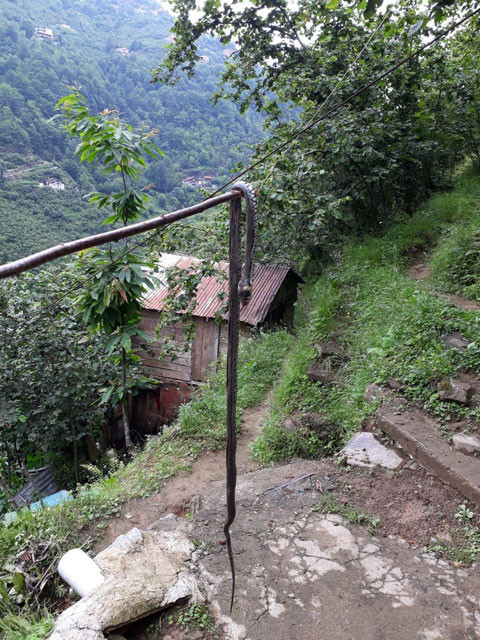 Yuvasını görünce dehşete düştüler! Mahalleli tedirgin - Resim: 2