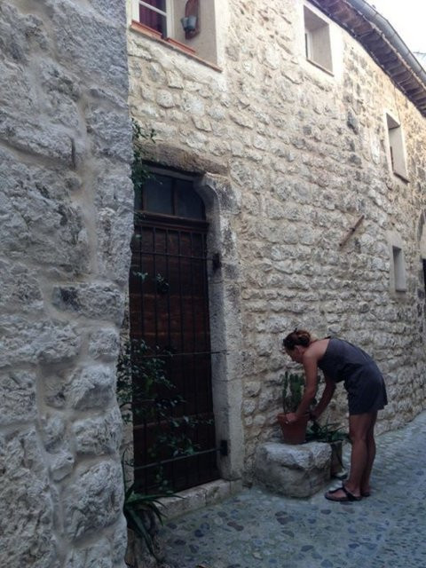 Asena şatosuna yerleşti - Resim: 4