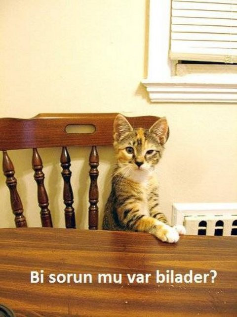 Bu fotoğraflar gülme garantili - Resim: 4