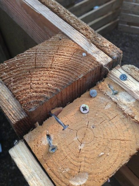 Canı sıkılan adam bakın ne yaptı... - Resim: 4