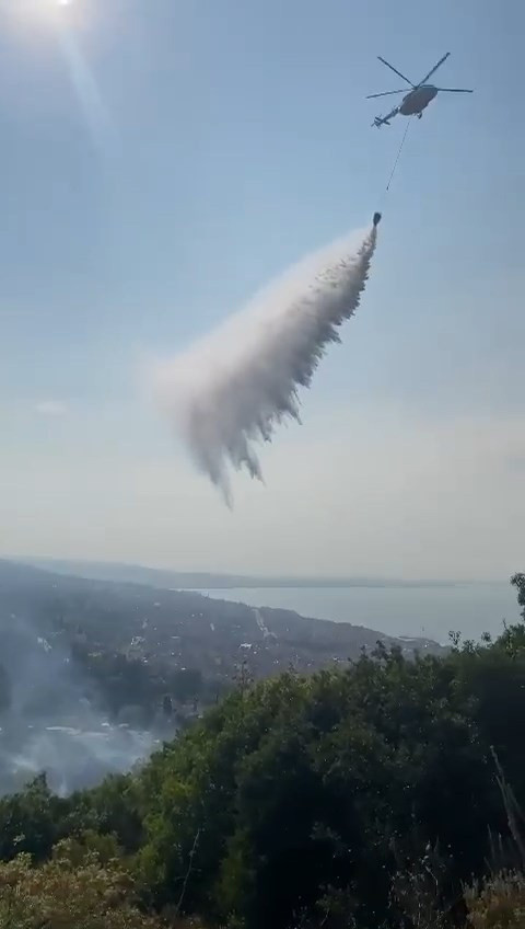 Kocaeli'de orman yangını; 1 kişi gözaltına alındı - Resim: 1