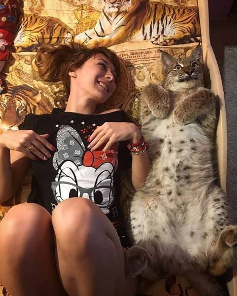 Günün en çılgın fotoğrafları - Resim: 1