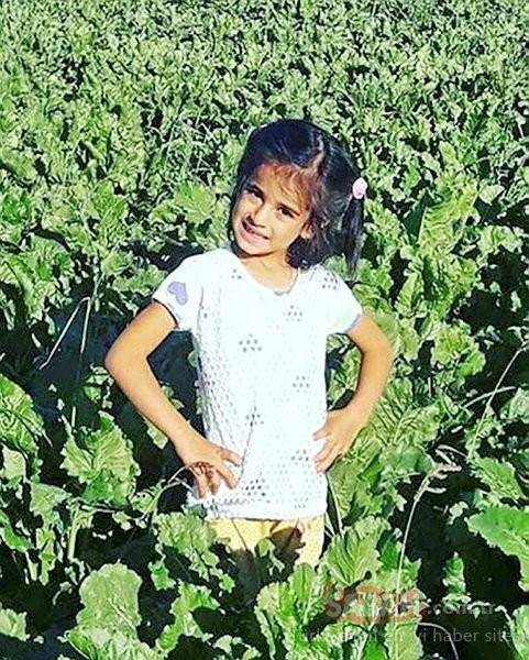 Eylül cinayetinde kan donduran ayrıntı! İşkence ve istismar edip boğmuş - Resim: 1