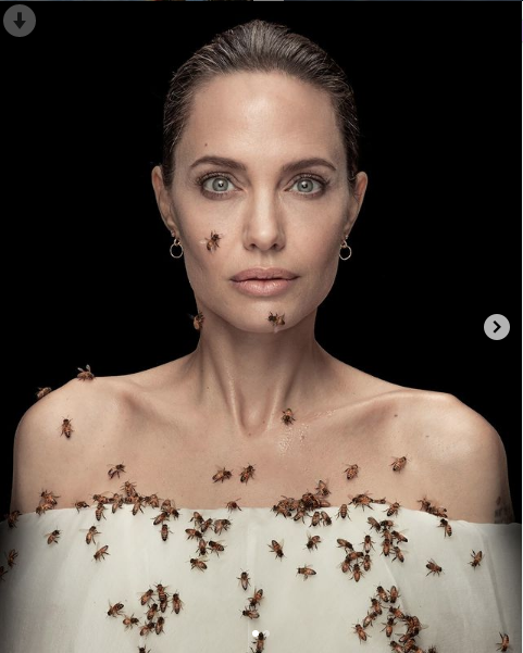 Angelina Jolie 18 dakika boyunca kıpırdamadan arılarla poz verdi sebebi ise bakın ne - Resim: 2
