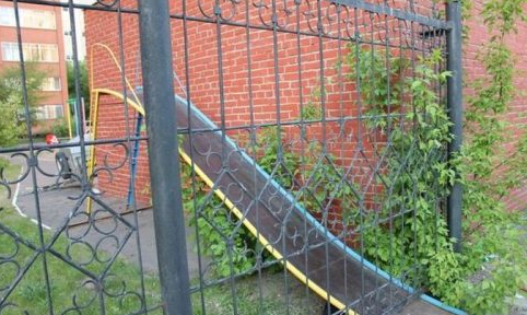 Günün tıklanma rekoru kıran kareleri - Resim: 4