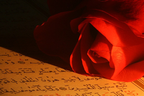 Kuran'a göre en hayırlı işler - Resim: 4