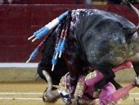 Matadorun gözü arenada kaldı - Resim: 4