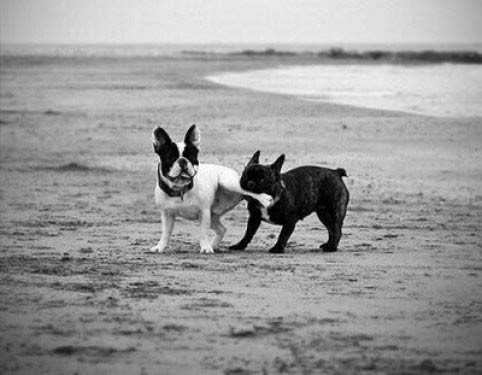 Tam zamanında çekilmiş fotoğraflar - Resim: 3