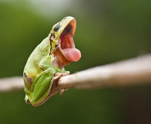 İnternetin en çok tıklanan kareleri - Resim: 4