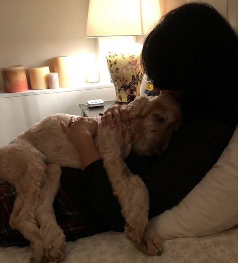 Yaprak Dökümü'nün Ceyda'sı Başak Sayan'ı yıkan haber - Resim: 2