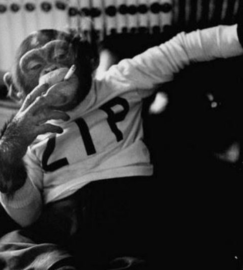 Bunlara bir bakan bir daha bakıyor - Resim: 4