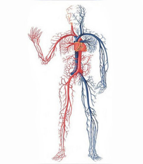 Tıp dünyasının şaşırtan gerçekleri - Resim: 2