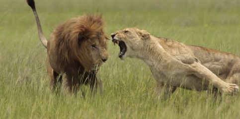 Günün en bomba fotoğrafları - Resim: 4