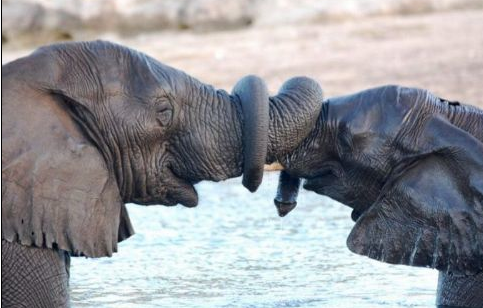 Sanal alemin en çok tıklanan kareleri - Resim: 4