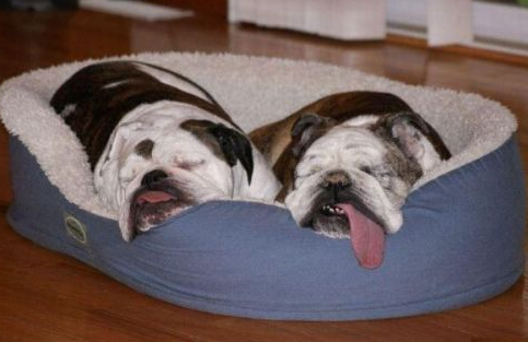 Günün tıklanma rekoru kıran kareleri - Resim: 4