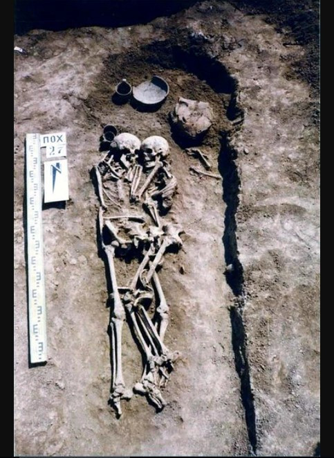 O keşfin ardından dram çıktı!  - Resim: 1