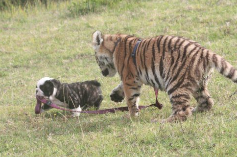 Haftanın en çok tıklananları - Resim: 4