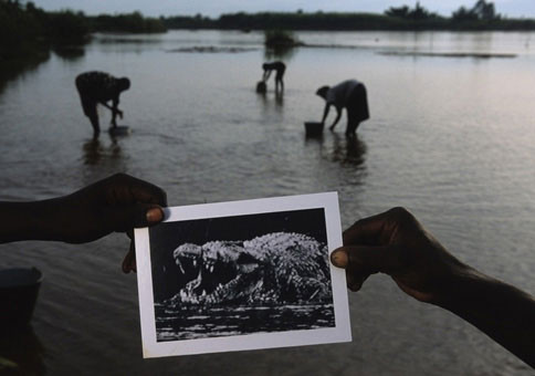 200 insan yiyen timsah - Resim: 4