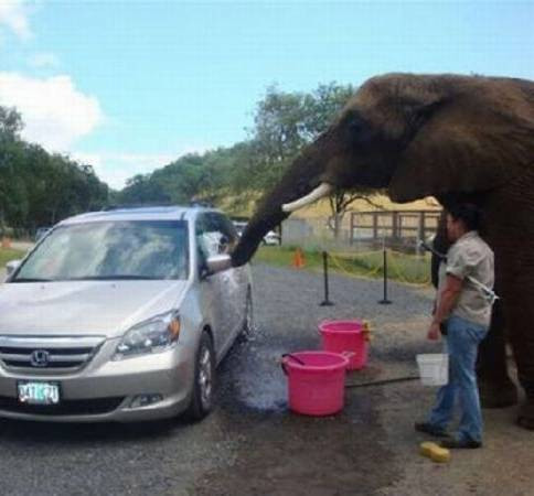 Sanmayın ki gerçek değil! - Resim: 2