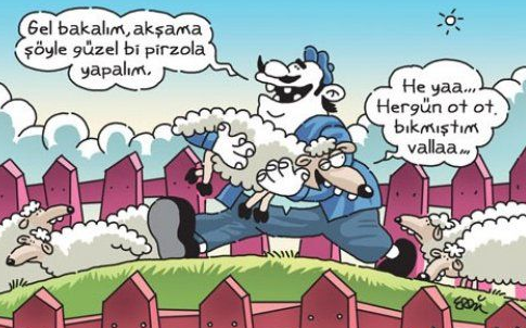 Günün en bomba karikatürleri - Resim: 2