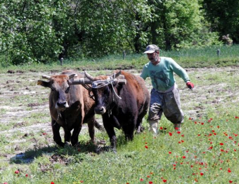 Terörün ardından Hakkari - Resim: 4