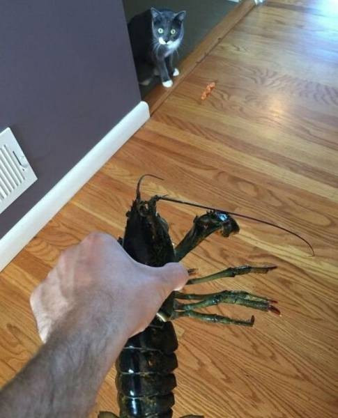 Şimdi onu dünya tanıyor! - Resim: 1